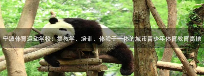 3377体育官网下载开户：宁波体育运动学校：集教学、