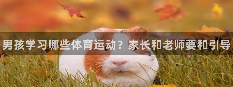 3377体育官方正版app集团：男孩学习哪些体育运动
