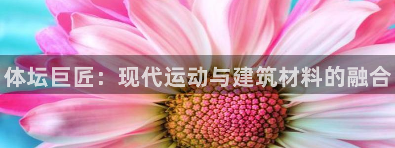 3377体育官方正版app娱乐是那个系列的台子：体坛