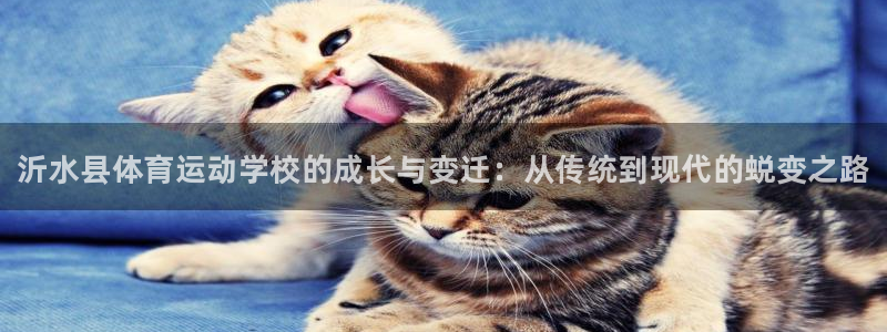 3377体育官方正版app科技：沂水县体育运动学校的成长与变