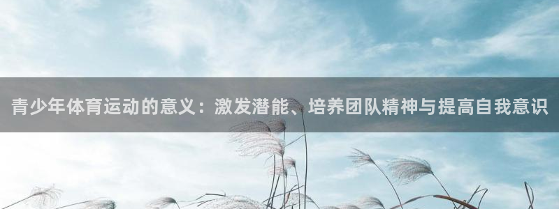 3377体育官网下载平台假的吗是真的吗：青少年体育运动的意义