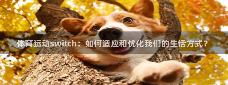 3377体育官网下载平台APP：体育运动switch：如何适