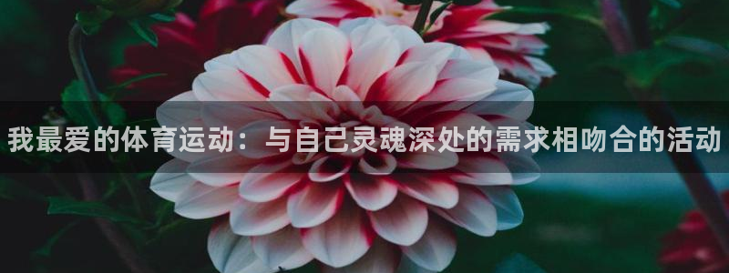 3377体育官网下载招商：我最爱的体育运动：与自己灵