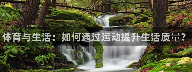 3377体育官网下载平台是正规平台吗安全吗：体育与生