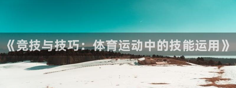 3377体育官方正版app娱乐平台：《竞技与技巧：体育运动中