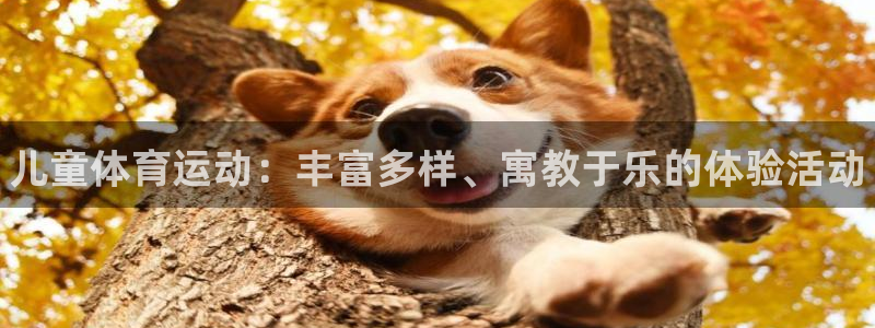 3377体育官方正版app娱乐：儿童体育运动：丰富多样、寓教