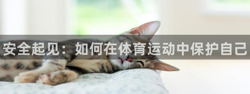 3377体育官网下载平台注册要钱吗安全吗：安全起见：
