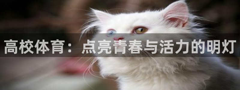 3377体育官网下载平台注册流程图：高校体育：点亮青
