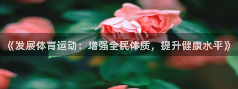 3377体育官网下载开户
