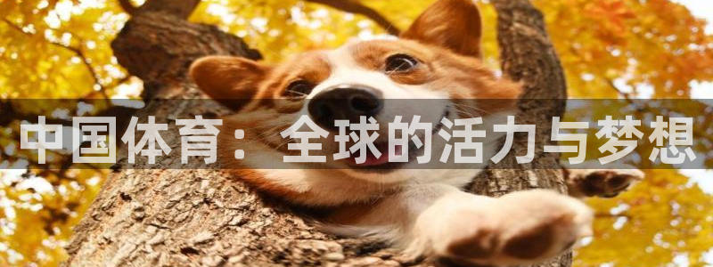3377体育官网下载平台注册要钱吗：中国体育：全球的
