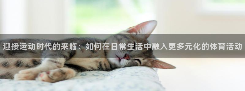 3377体育官方正版app五金厂：迎接运动时代的来临：如何在