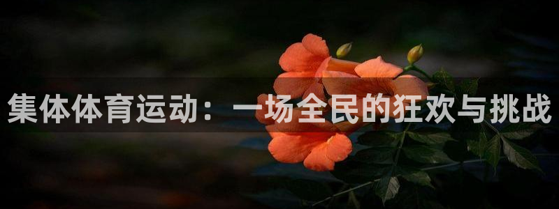 3377体育官方正版app官方：集体体育运动：一场全民的狂欢