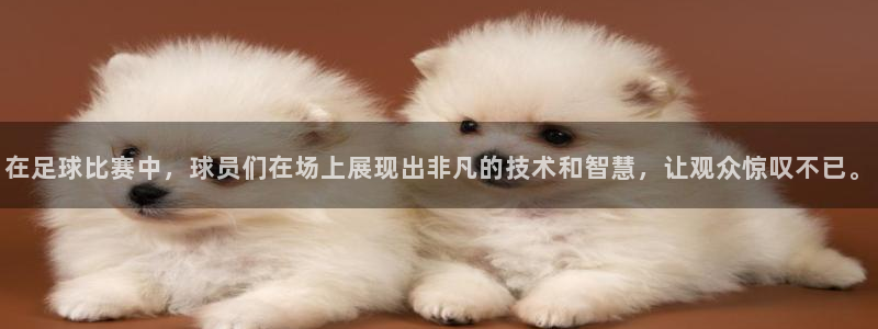 3377体育官网下载平台