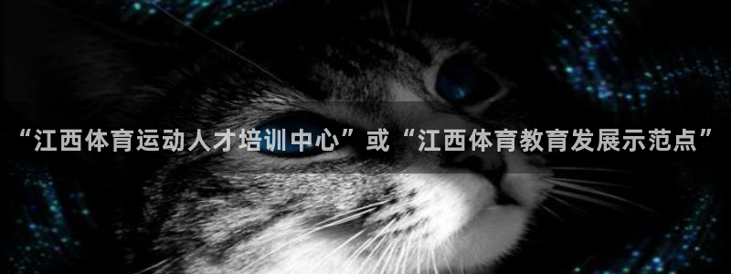 3377体育官网下载是干嘛的公司