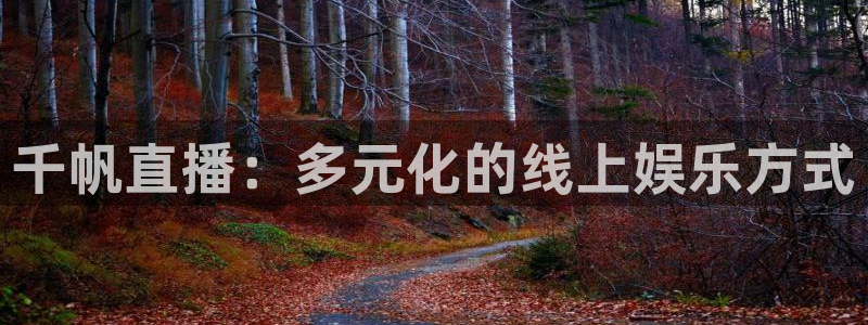 五星体育录像