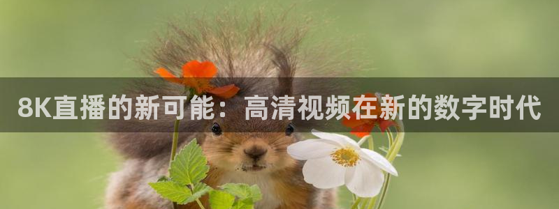 五星体育直播哪里看：8K直播的新可能：高清视频在新的数字时代