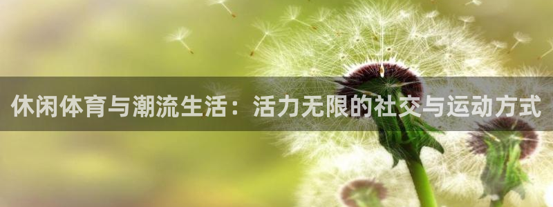 3377体育官网下载