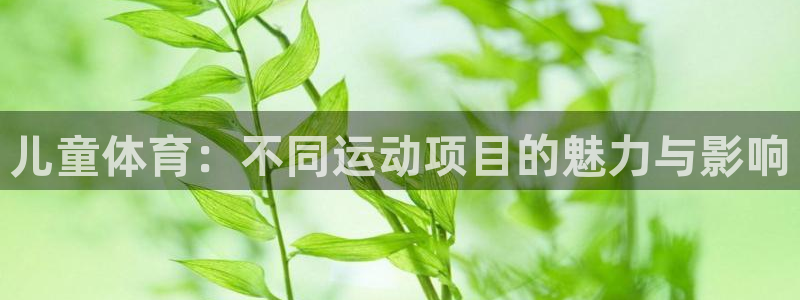 3377体育唯一官方网站