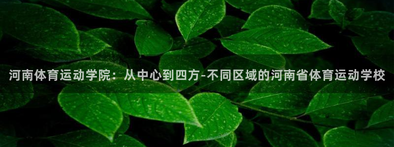  3377体育唯一官方网站：河南体育运动学院：从中心到四方-不