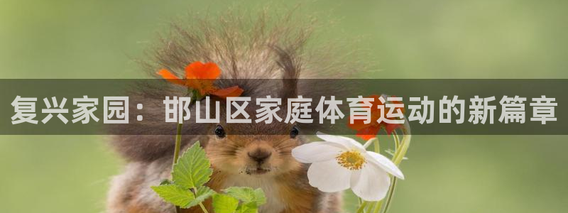3377体育唯一官方网站：复兴家园：