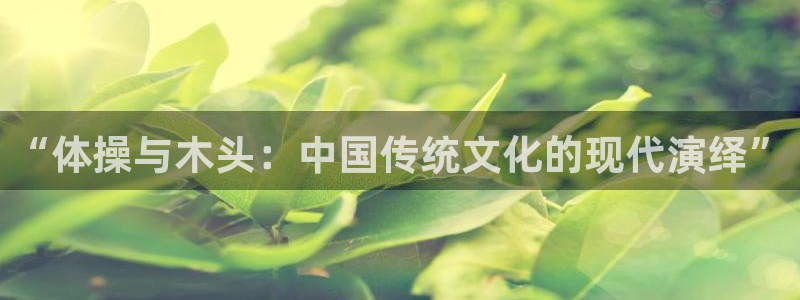 3377体育是正规平台吗：“体操与木
