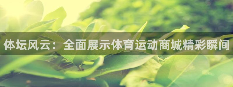3377体育中国官方网站入口：体坛风云：全面展示体育运动商城
