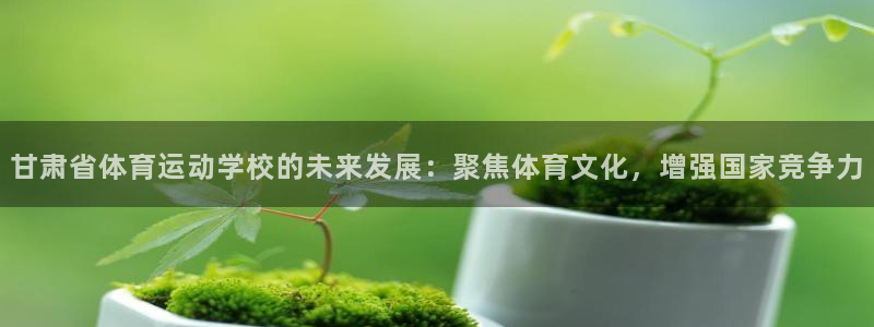 3377体育退款最新政策：甘肃省体育