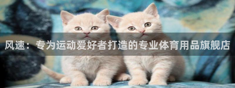  3377体育是正规平台吗：风速：专为运动爱好者打造的专业体育