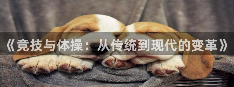 3377体育被国家取消了吗现在：《竞