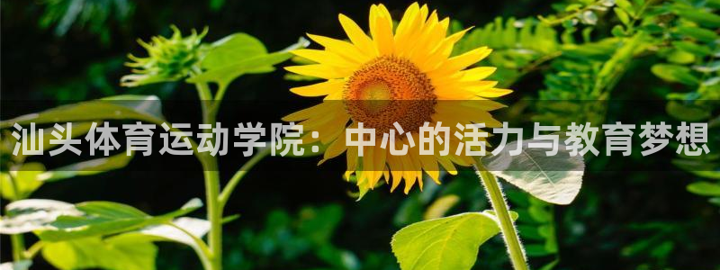 3377体育退款最新政策：汕头体育运