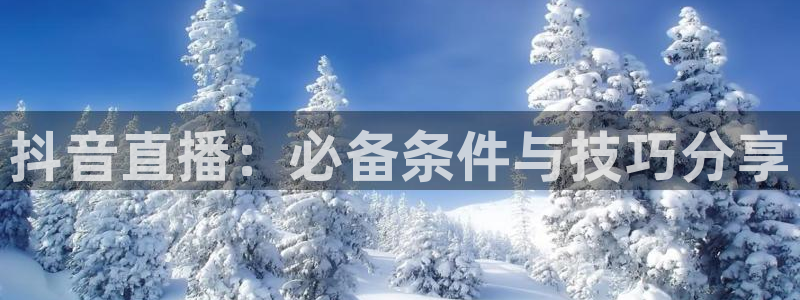 上海五星体育app官网下载