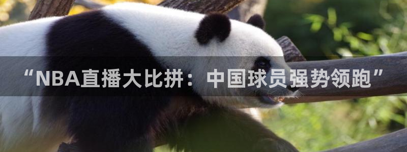 360五星体育在线直播