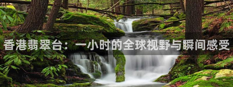 五星体育直播app