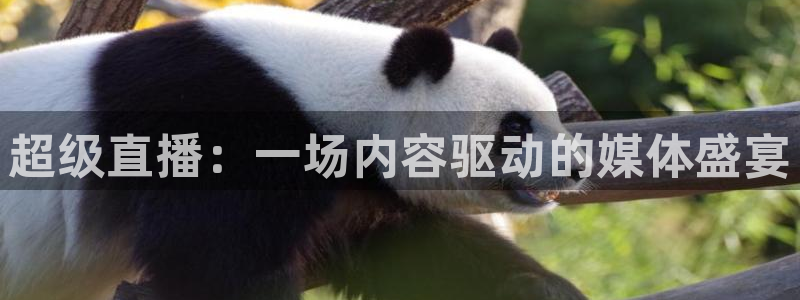 下载五星体育频道