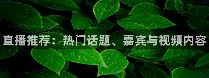 手机看五星体育