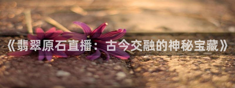 哪里能看五星体育直播的f1：《翡翠原石直播：古今交融的神秘宝藏》