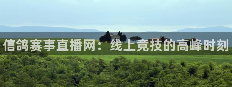 上海五星体育app官网：信鸽赛事直播网：线上竞技的高峰时刻